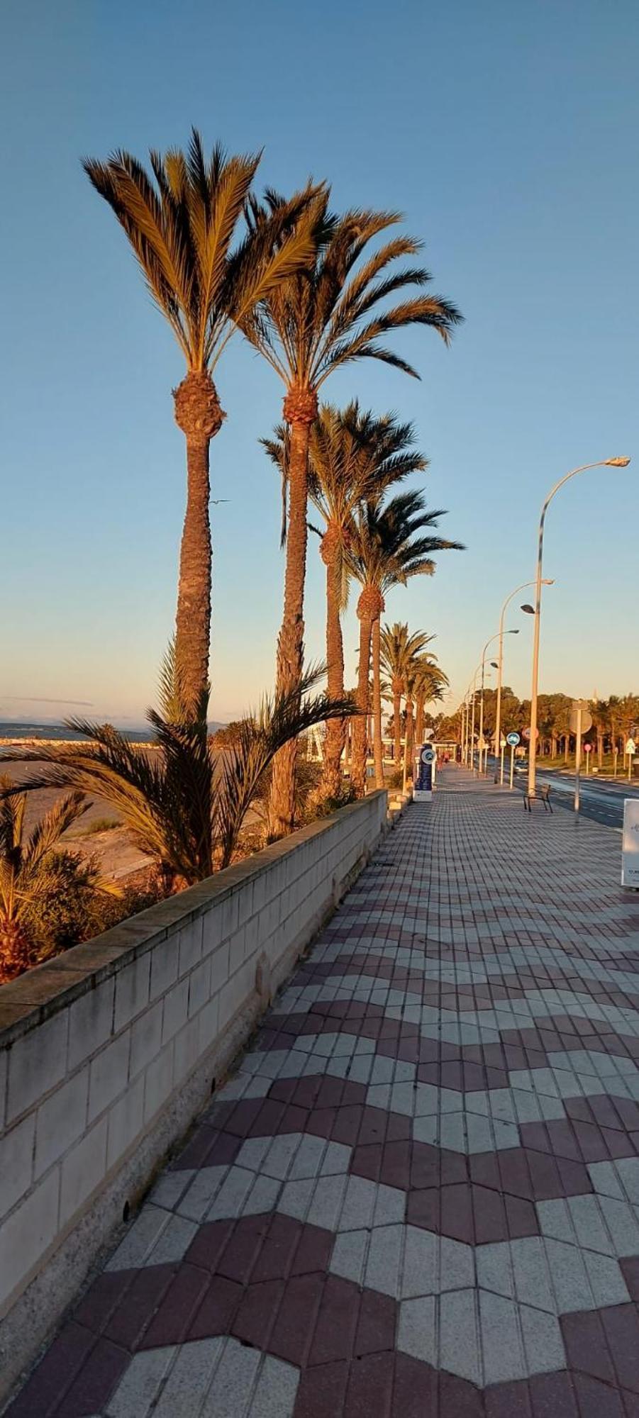 La Casita Del Tio Apartment Santa Pola Ngoại thất bức ảnh